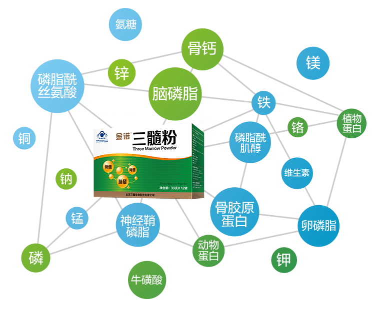 养护骨骼更需要补充 全骨营养和三髓营养
