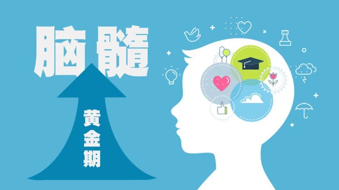 /ueditor/image/20260318/1773797297949130/1d32413acee5a808c2b11eef83e987fd.jpg 222.jpg