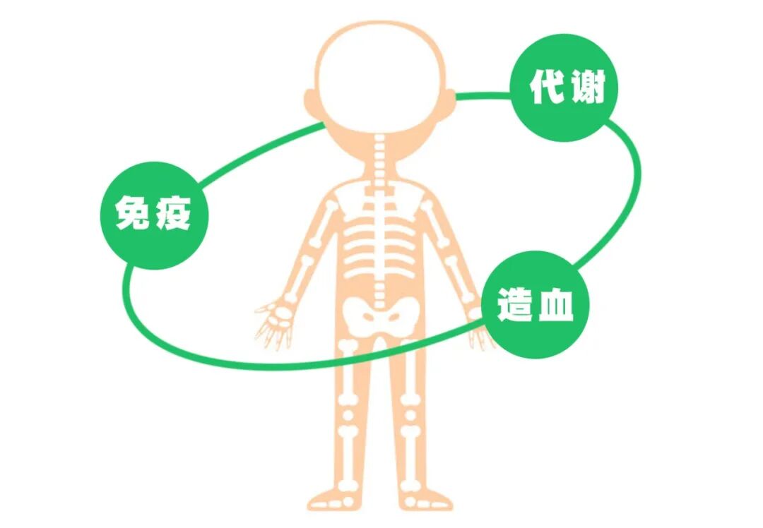 /ueditor/image/20260318/1773797359783751/6ba2bcde40703d7ea55db7b55eb3b830.jpg 333.jpg