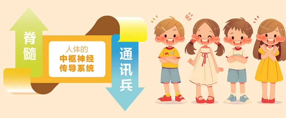 /ueditor/image/20260318/1773797372530493/76a93926ef68e7427cdad1170a6d1e1b.jpg 444.jpg